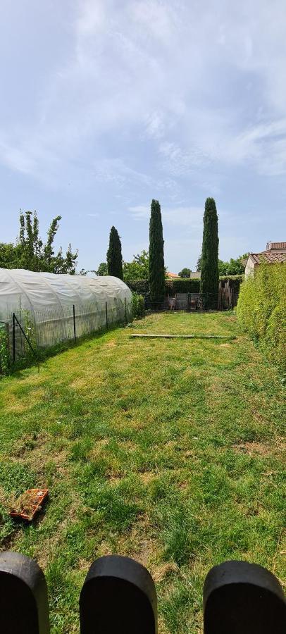 Gîte la Libellule 4 couchages 12 min du Puy du Fou Saint-Amand-sur-Sevre Extérieur photo